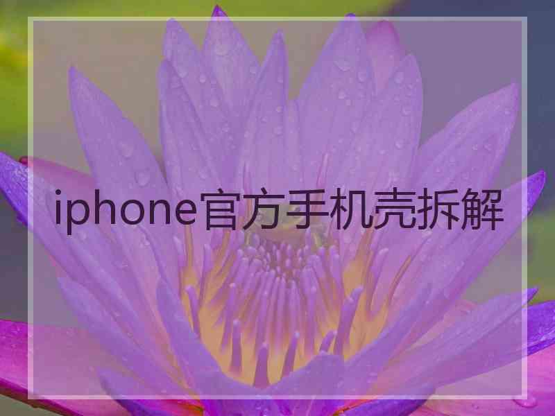 iphone官方手机壳拆解