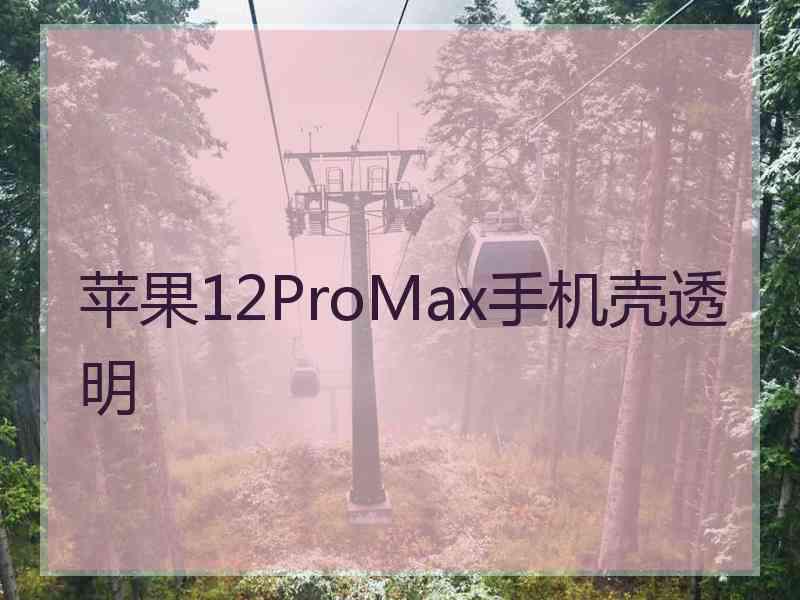 苹果12ProMax手机壳透明