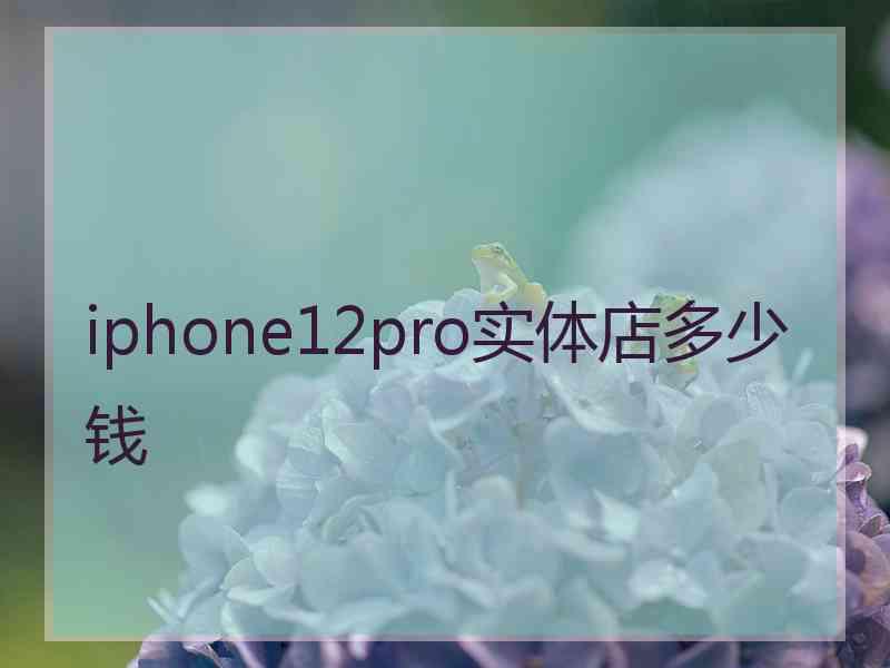 iphone12pro实体店多少钱