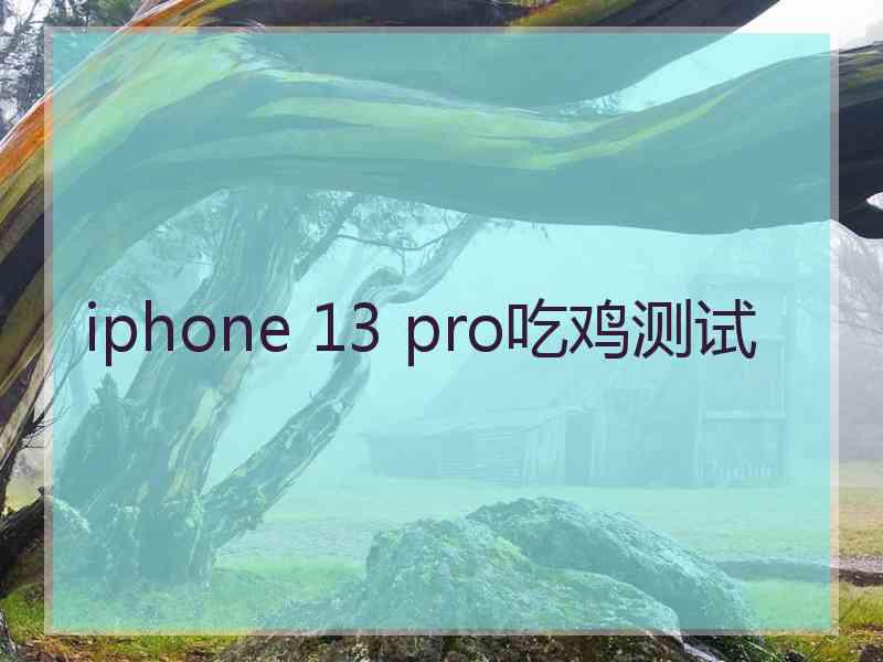 iphone 13 pro吃鸡测试