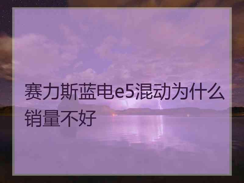 赛力斯蓝电e5混动为什么销量不好