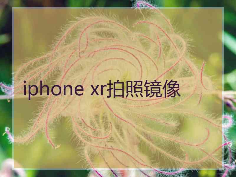 iphone xr拍照镜像