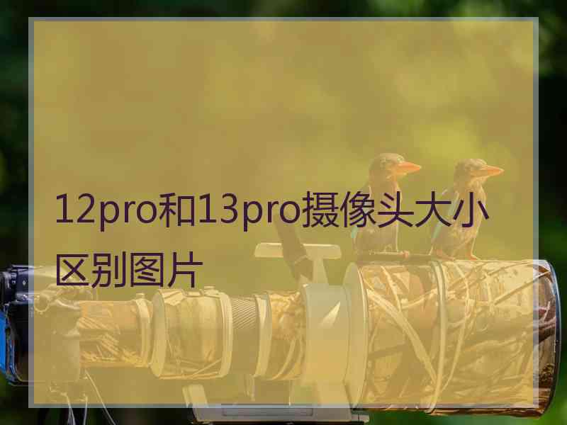 12pro和13pro摄像头大小区别图片