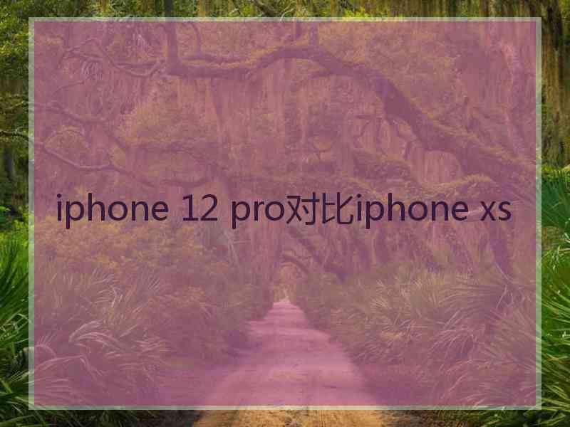 iphone 12 pro对比iphone xs