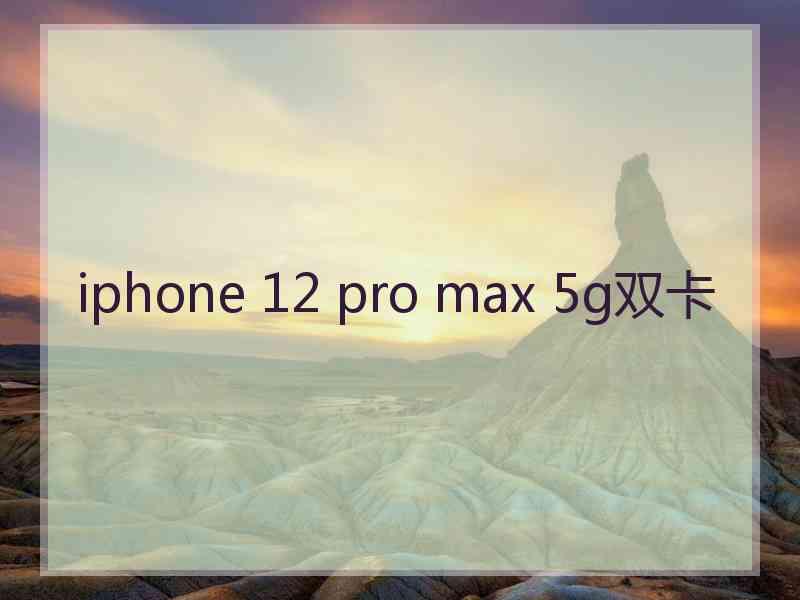 iphone 12 pro max 5g双卡