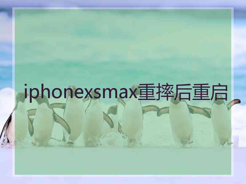 iphonexsmax重摔后重启