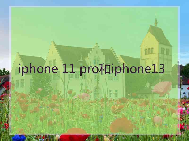 iphone 11 pro和iphone13