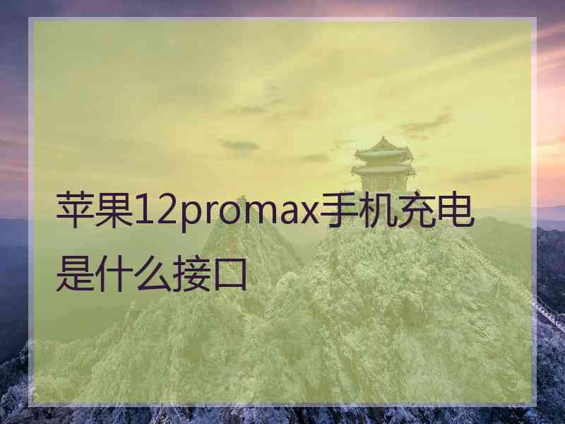 苹果12promax手机充电是什么接口