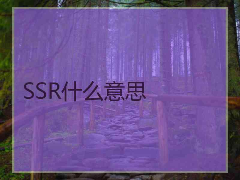 SSR什么意思