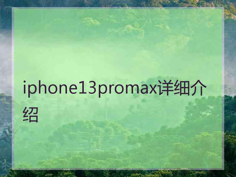 iphone13promax详细介绍