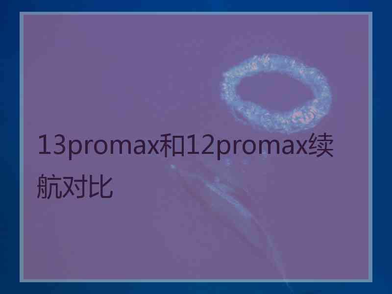 13promax和12promax续航对比