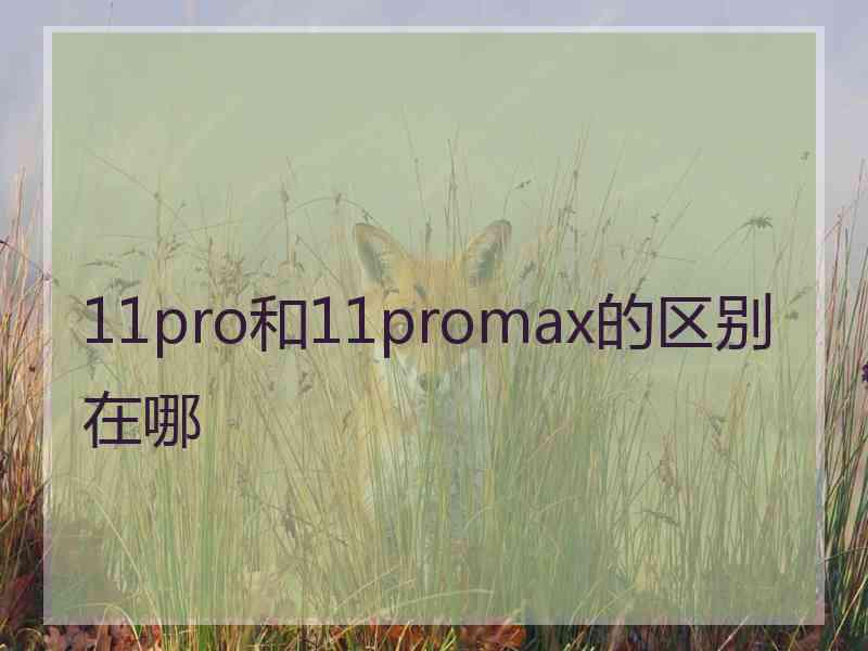 11pro和11promax的区别在哪