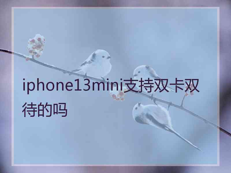 iphone13mini支持双卡双待的吗