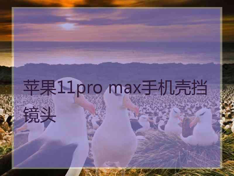 苹果11pro max手机壳挡镜头