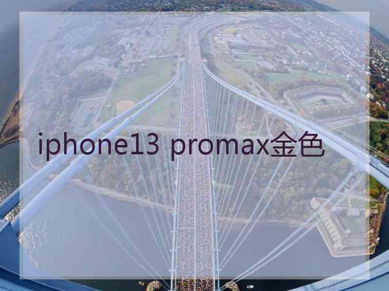 iphone13 promax金色