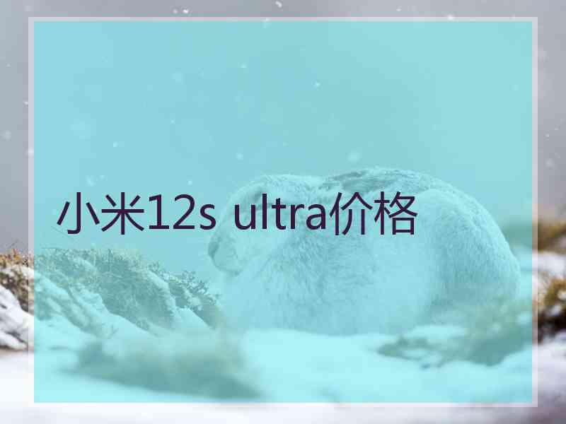 小米12s ultra价格