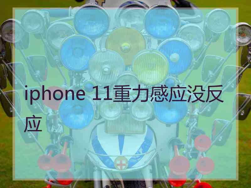 iphone 11重力感应没反应