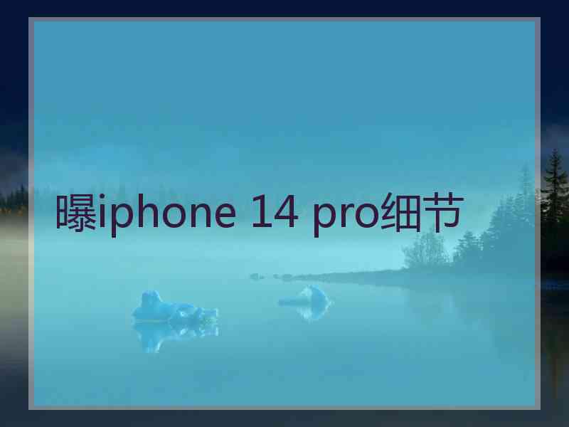 曝iphone 14 pro细节