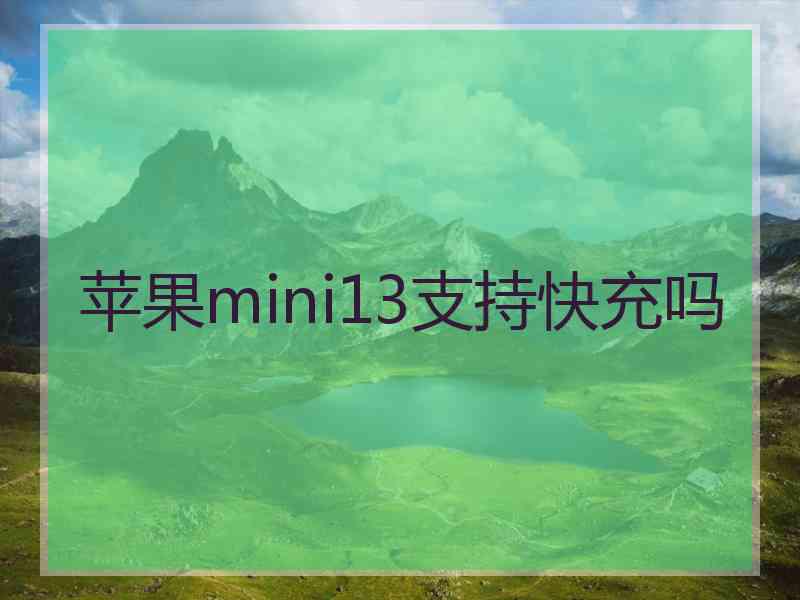 苹果mini13支持快充吗