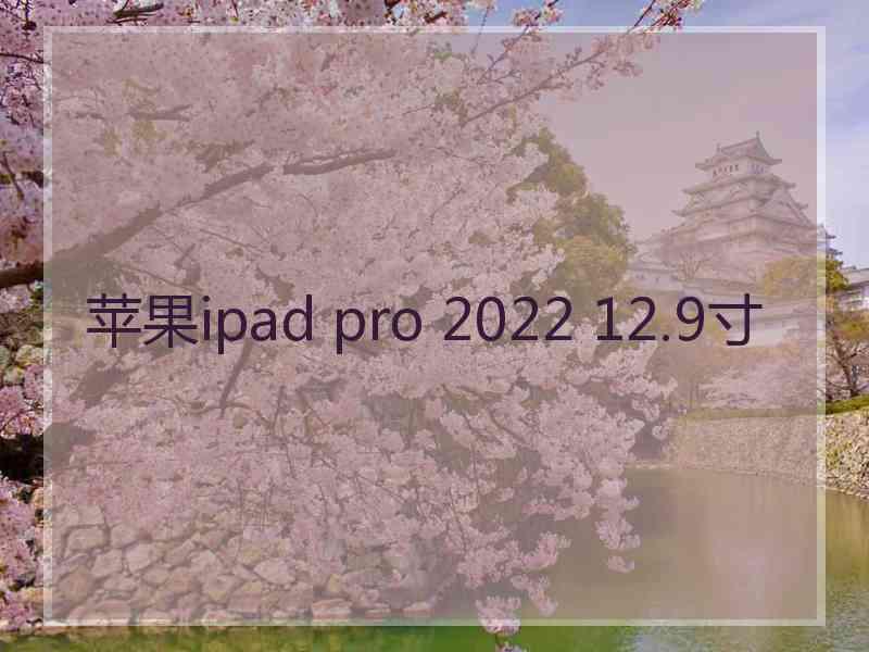 苹果ipad pro 2022 12.9寸