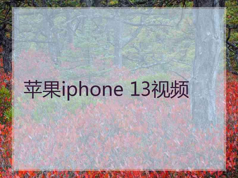 苹果iphone 13视频