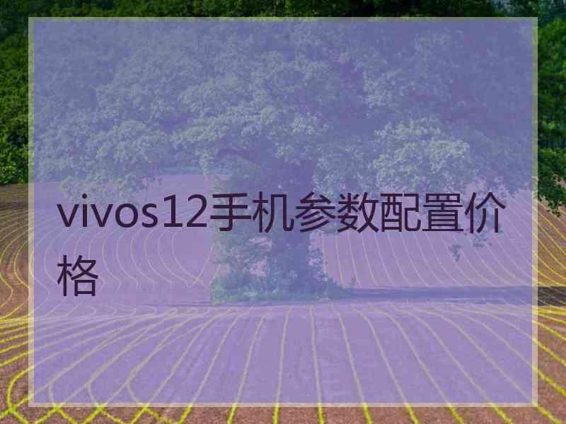 vivos12手机参数配置价格