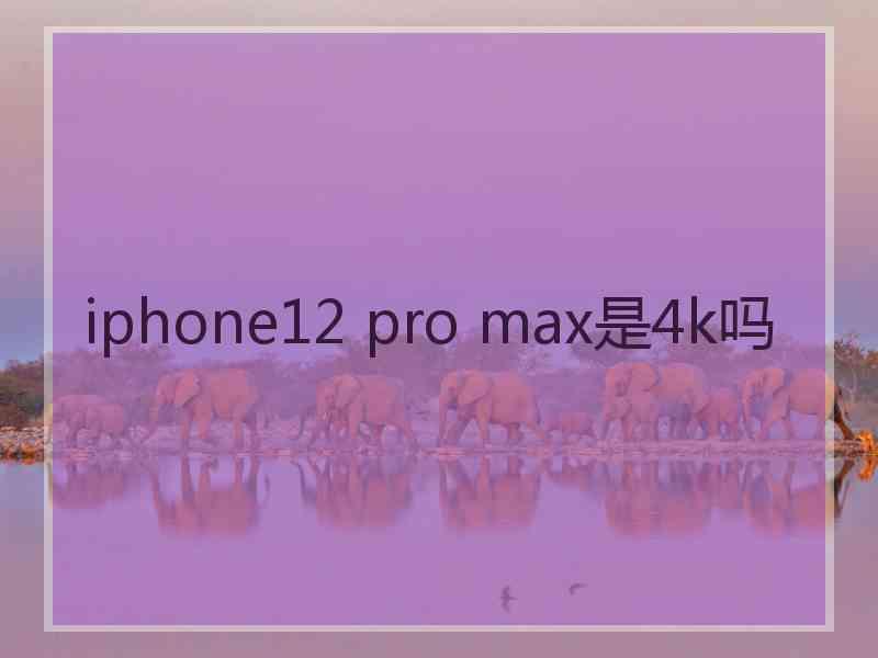 iphone12 pro max是4k吗