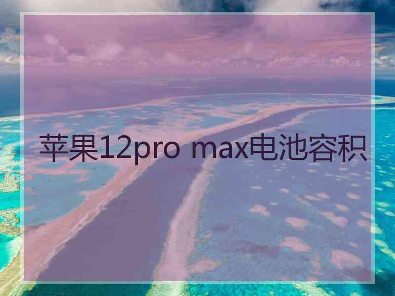 苹果12pro max电池容积