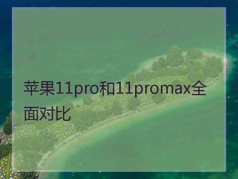 苹果11pro和11promax全面对比