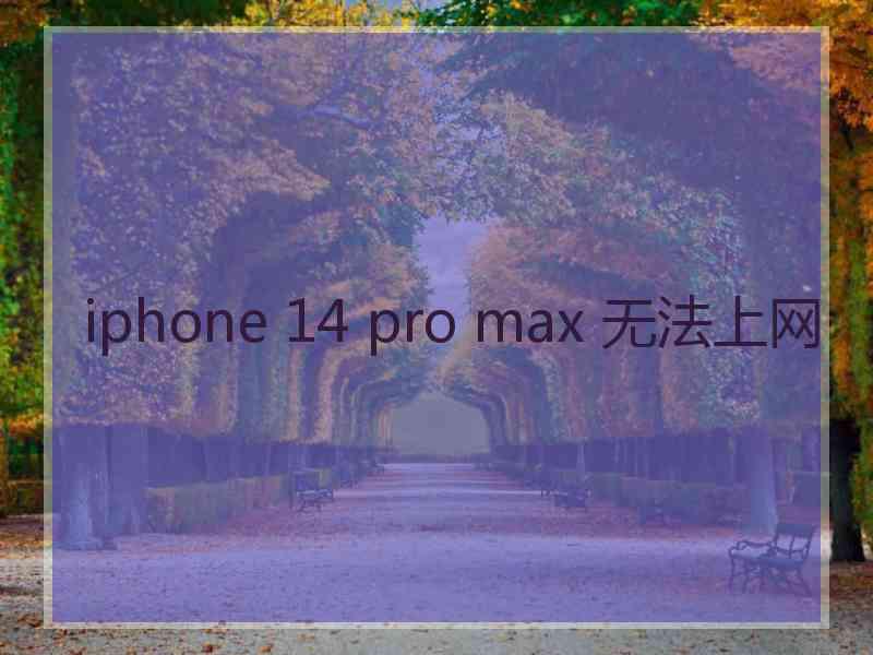 iphone 14 pro max 无法上网