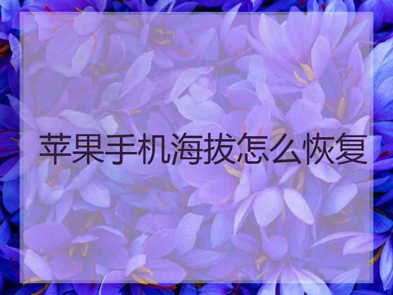 苹果手机海拔怎么恢复