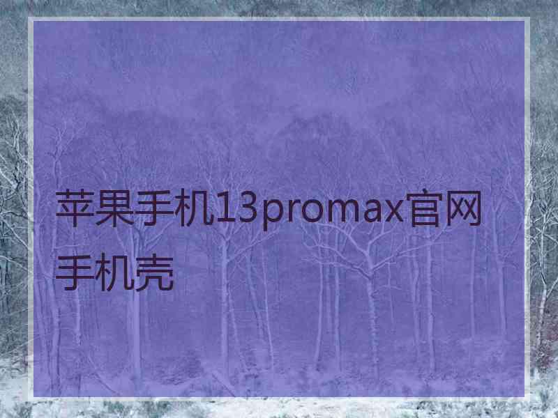 苹果手机13promax官网手机壳