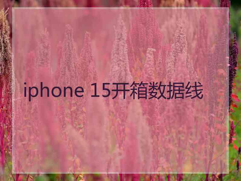 iphone 15开箱数据线