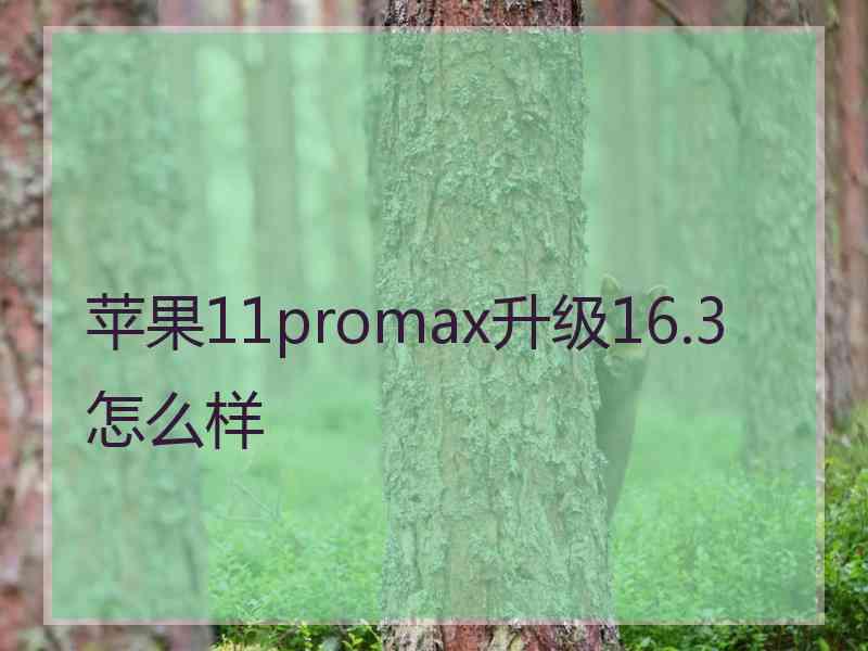 苹果11promax升级16.3怎么样