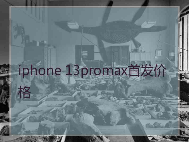 iphone 13promax首发价格