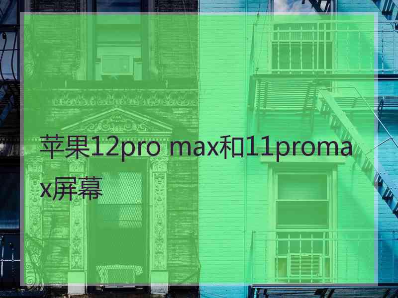 苹果12pro max和11promax屏幕