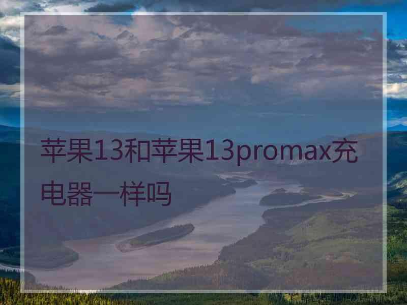 苹果13和苹果13promax充电器一样吗