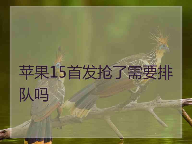 苹果15首发抢了需要排队吗