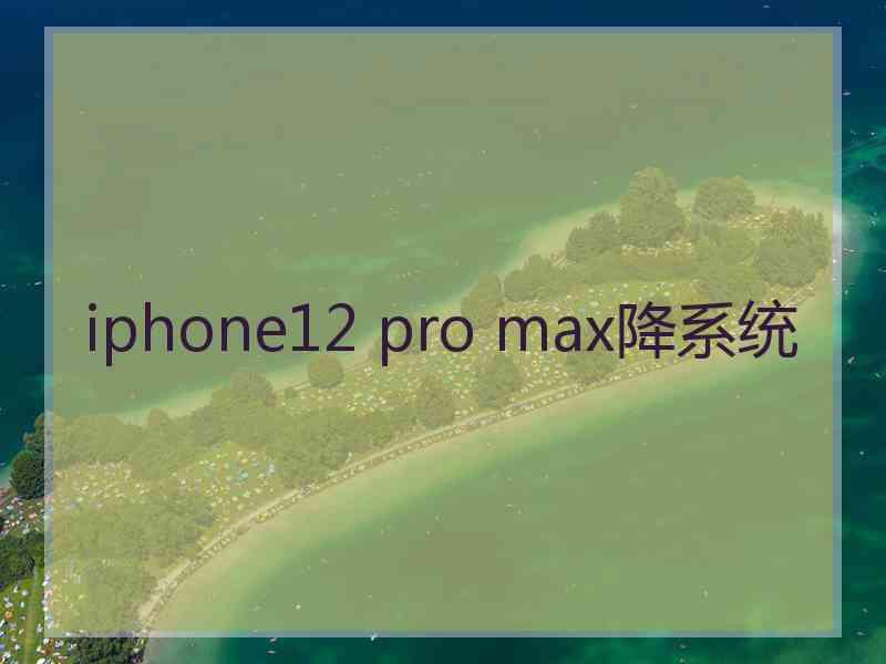 iphone12 pro max降系统