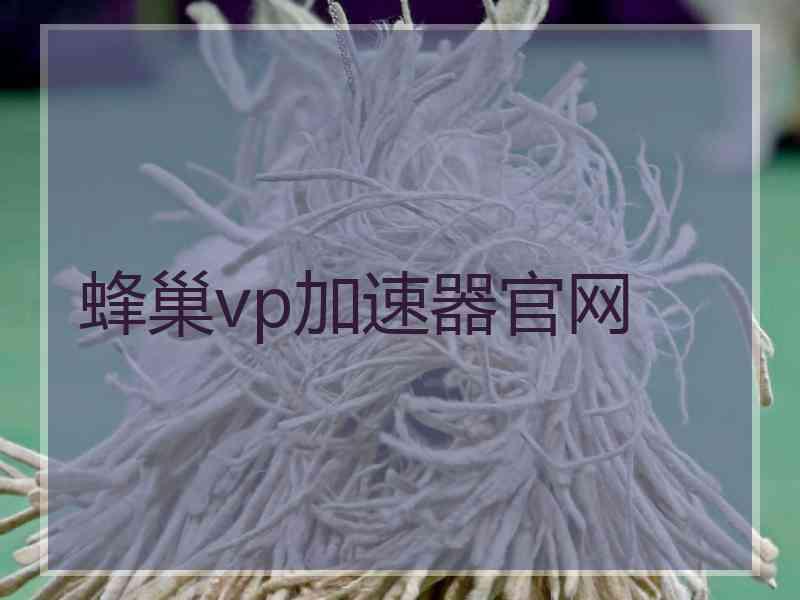 蜂巢vp加速器官网