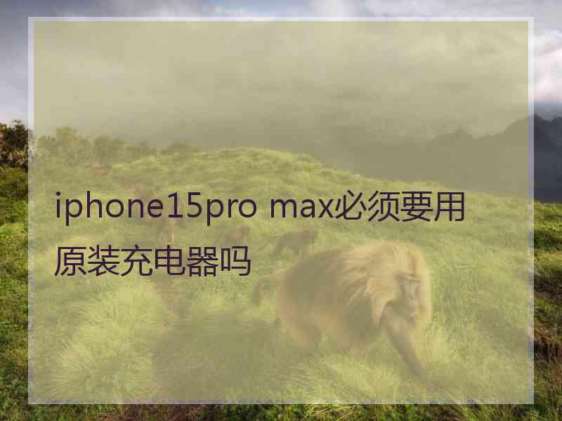 iphone15pro max必须要用原装充电器吗