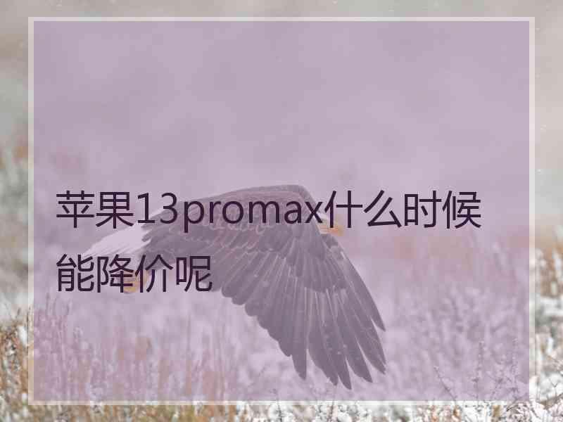 苹果13promax什么时候能降价呢