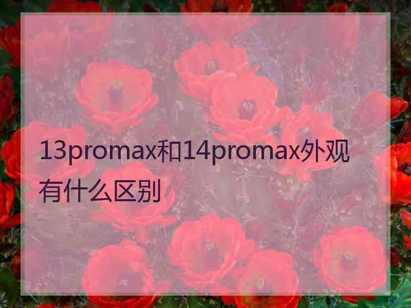 13promax和14promax外观有什么区别