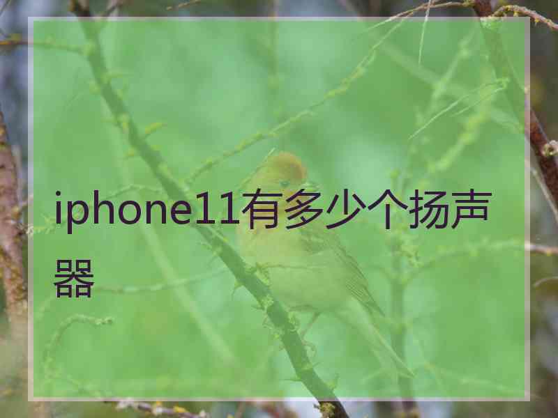 iphone11有多少个扬声器