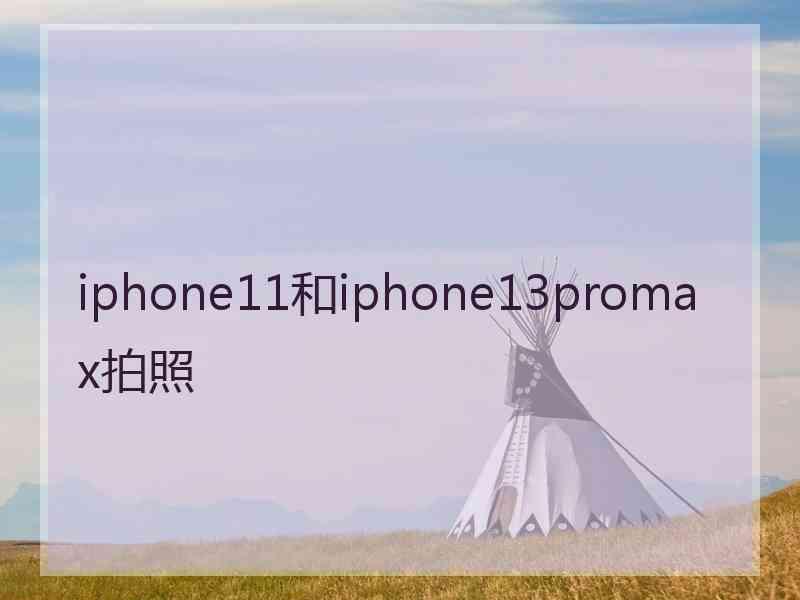 iphone11和iphone13promax拍照