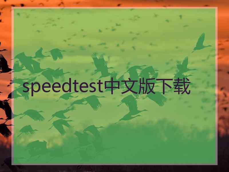 speedtest中文版下载