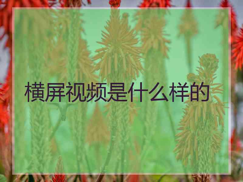 横屏视频是什么样的