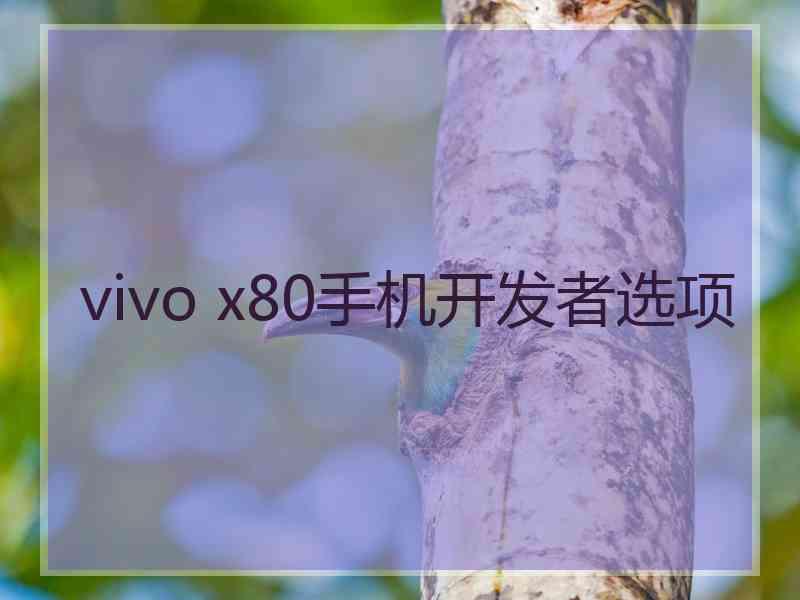 vivo x80手机开发者选项