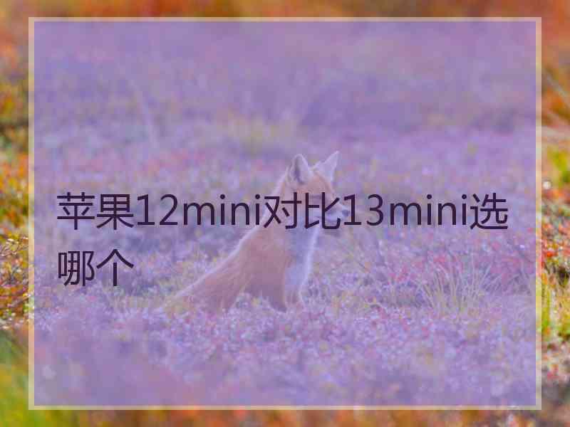 苹果12mini对比13mini选哪个