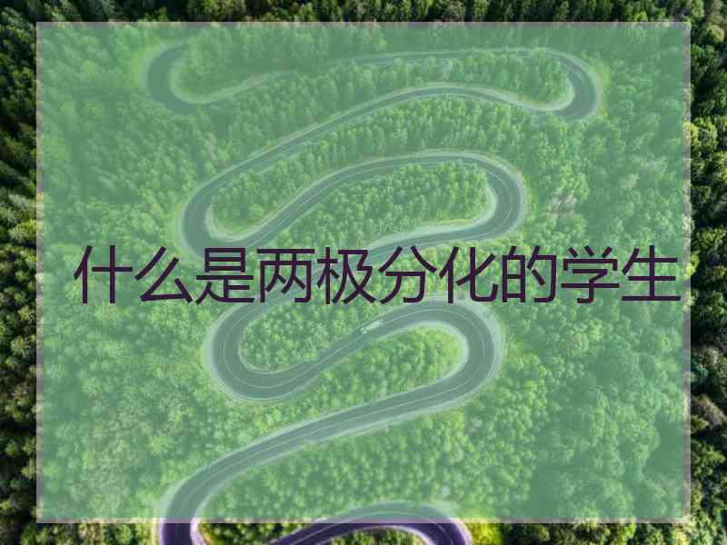 什么是两极分化的学生